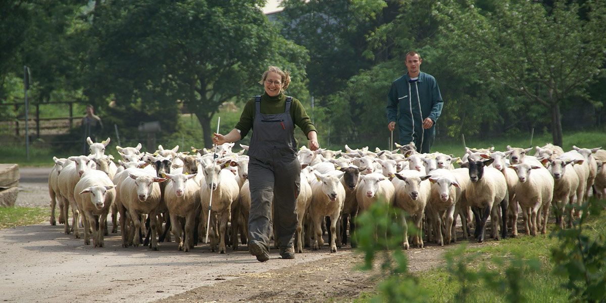 Campus de Mirecourt agricole et forestier