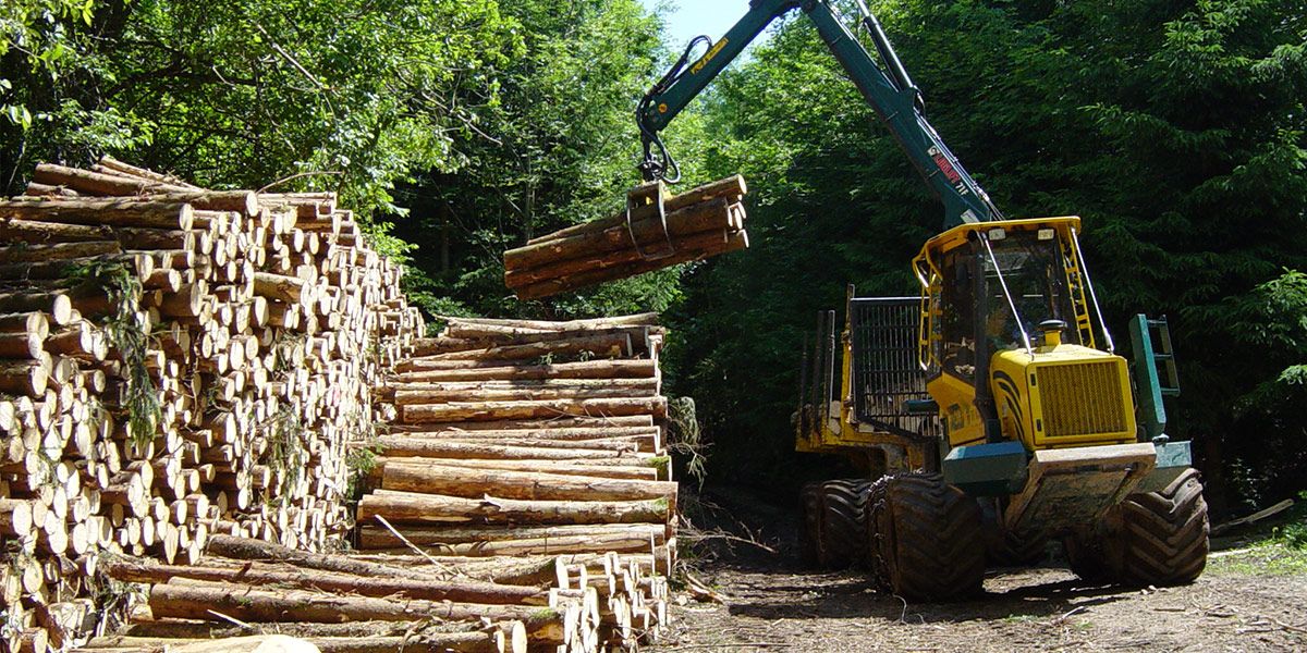 Campus de Mirecourt agricole et forestier
