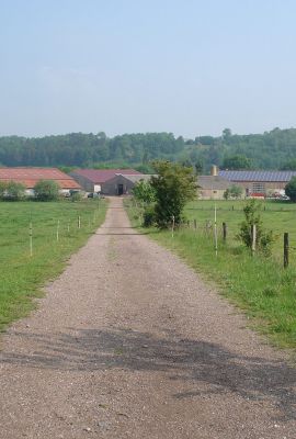 Campus de Mirecourt agricole et forestier - Ferme de Braquemont
