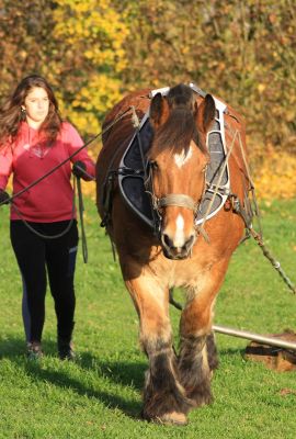 Campus de Mirecourt agricole et forestier - Ferme de Braquemont