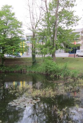 Campus de Mirecourt agricole et forestier - Lycée